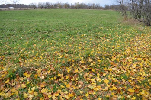 Property photo 30 - 80 Acres & Home - Property Offered in 4 Tracts from 2.3 to 30.0 Acres